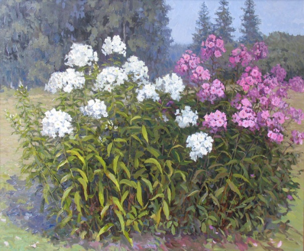 Юлия Жукова Флоксы